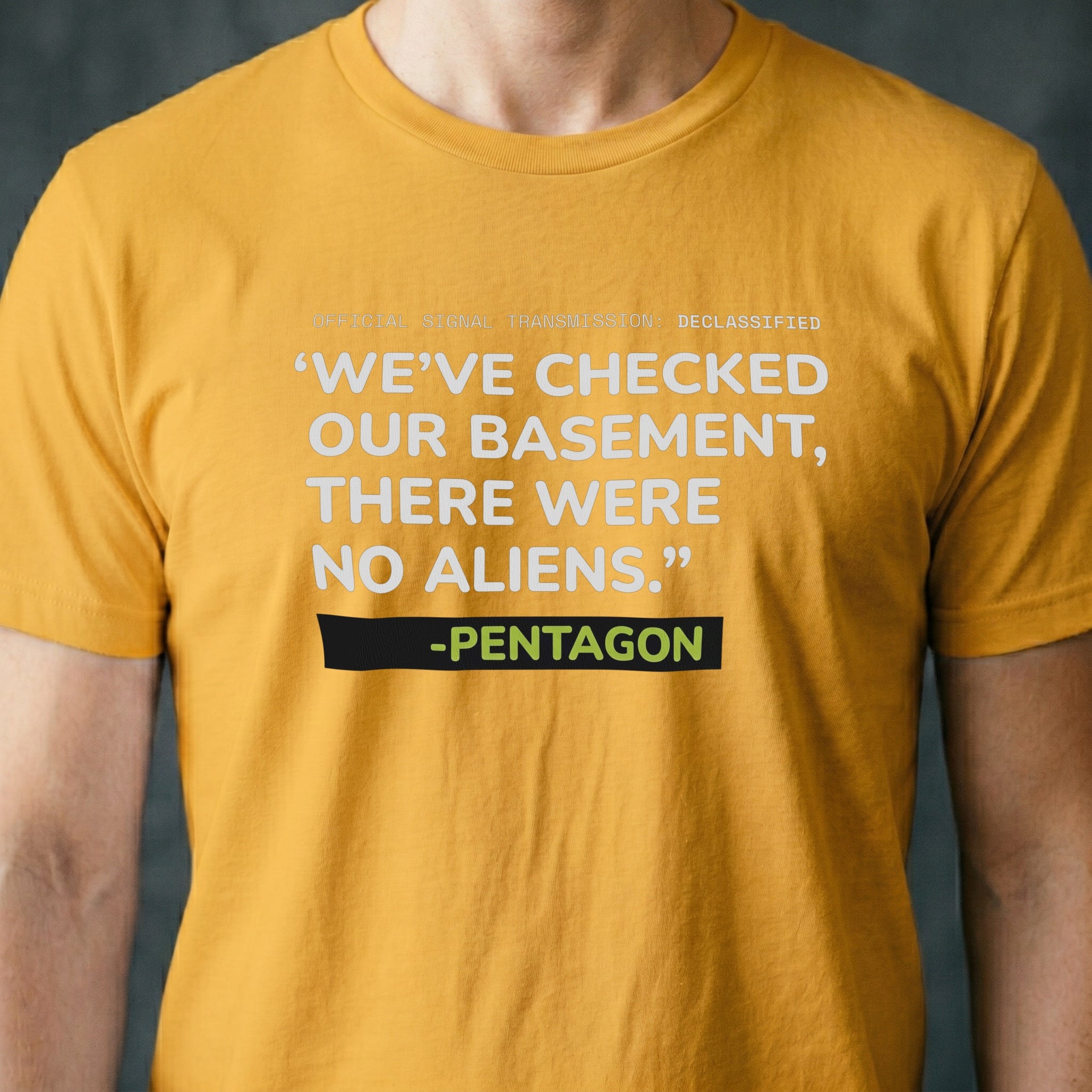No Aliens in the Basement T-shirt